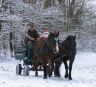 Mikulás 2012. december 4.